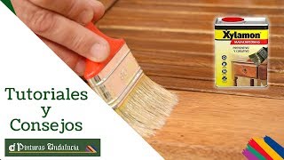 Cómo proteger la madera de hongos e insectos  Pinturas Andalucía [upl. by Alyce]