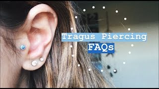 Tragus Piercing FAQs my experience pain aftercare etc [upl. by Zerlina]