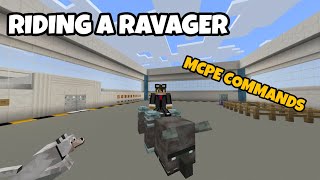 How to Ride a Ravager using Commands in Minecraft Bedrock Edition [upl. by Ahsiekim]