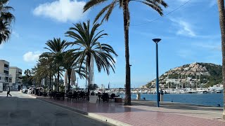 Küstenstraße nach Port de Andratx 💛 von Camp de Mar 🌴 Mallorca exklusive Gegenden 🇪🇸 Ausblicke [upl. by Alis]