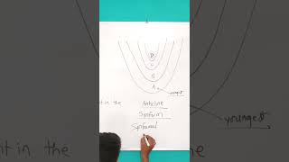 Antiform or Anticline 🧐🤔🤔🤔 [upl. by Anaj]