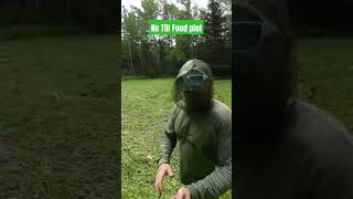 No Till Food Plot with RYE foodplot deer whitetail plant [upl. by Negiam]