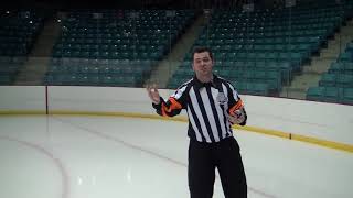 Whats Goalie Interference  Tips for Hockey Referees [upl. by Daub]