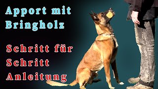 Hund Apport beibringen  Schritt für Schritt Anleitung [upl. by Jeffie636]