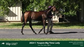 2024 f by Yaupon oo Big Time Lady [upl. by Yssis]