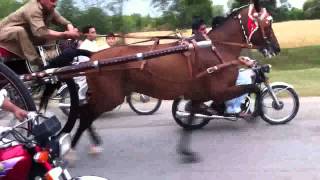 tangarace lalbadshah try [upl. by Alamac]