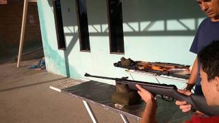 Teste e Regulagem da Carabina Gamo Big Cat 45mm  Cronografia [upl. by Aihsyak891]