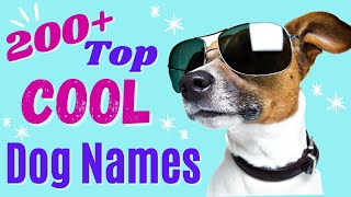 Top 200 COOL Dog Names – Awesome Dog Name Ideas [upl. by Gant]