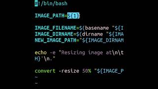 The basename Command In Linux [upl. by Minnie]