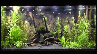 LED Aquarium Beleuchtung Daytime Cluster Control mit Tageslichtsimulator quotEasy Time Controllquot [upl. by Atinauq]