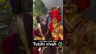 Tulshi vivah 🌿❤️ ઠાકર પરણવા ને જાય👑trendingsongviral shorts dwarkadhishkrishnastatus dwarkesh [upl. by Aelrac]