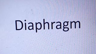 HDF is live Diaphragm Anatomy [upl. by Rem977]