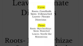 Cycas VS Pinus biologybloom [upl. by Miuqaoj]