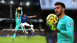 Paulo Gazzaniga  Best Saves in the Premier League ᴴᴰ [upl. by Leraj566]