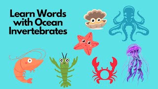 Explore Amazing Marine Invertebrates for Kids  Fun Facts Included [upl. by Ynned]