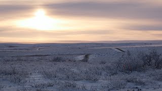 The road to Tuktoyaktuk [upl. by Elmajian745]