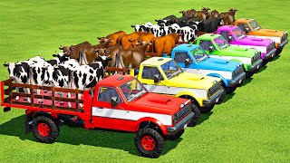 TRANSPORTING COWS WITH TLX NEW CARS amp SCANIA TRUCKS  Farming Simulator 22 [upl. by Perr]