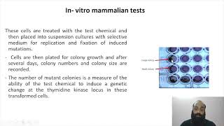 Genotoxicity and mutagenicity testing II Part 7 [upl. by Naved979]