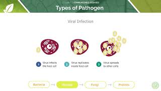 AQA GCSE Biology Communicable Infectious Diseases [upl. by Okiam]