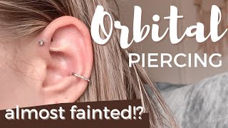 Conch Piercing Experience Hoop  My Curated Ear [upl. by Bellanca]