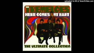 The Tremeloes  Do I Love You 432Hz [upl. by Amjan106]