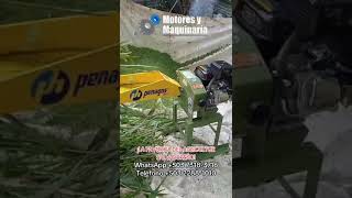 LA PICADORA IDEAL PARA PEQUEÑOS PRODUCTORES 🧑🏻‍🌾🇸🇻 agriculture farming elsalvador shorts [upl. by Nyroc807]