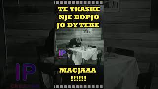 MACJA  Pse bien keto daulle  batuta shqip viralvideo shorts fyp [upl. by Atews112]