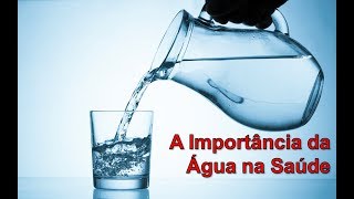 A IMPORTÂNCIA DE SE BEBER 2L DE ÁGUA POR DIA  Dr Marcelo Lima [upl. by Hesper]