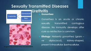 gonorrhea amp non gonococcal urethritis [upl. by Arrekahs]