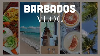 Barbados Vlog 2023  Exploring an Island  Visiting Family [upl. by Dlorag673]