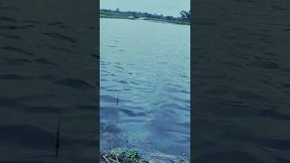 water is very nice water youtabeshortvideo youtubeshort youtubewaterwatercolor [upl. by Ayin]