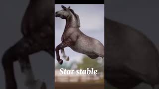 Star stable vs Real life horse starstable sso starstableonline reallife [upl. by Llertak366]