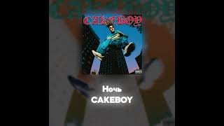 CAKEBOY  Ночь Акапелла  Acapella [upl. by Watkin]