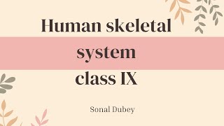 Human skeletal system  class IX ICSE board [upl. by Enohs472]