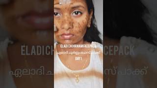 💯 ഏലാദി ചൂർണ്ണംഫേസ്പാക്ക് Day 1facepackforteenagers facepackforoilyskin facepackforacne facepack [upl. by Elyrpa]