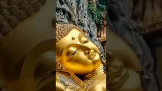 Sakyamuni Buddha Whatsapp Status buddha viralvideo love religion buddhism buddhist [upl. by Niraj]