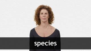 How to pronounce SPECIES in American English [upl. by Hartzel873]