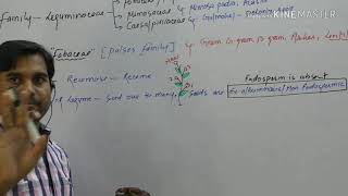 Fabaceae subfamily of Leguminocae plant family [upl. by Aurelie]