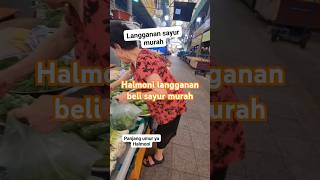 🔴Halmoni langganan beli sayur murah korea indonesia info bahasa ujianepstopik [upl. by Zirkle]