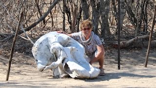 NAMIBIA Crossing the Caprivi Strip [upl. by Annauqal]