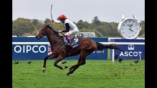 Cracksman  Co3rd Highest Rated Racehorse in the World for 2017 [upl. by Einiar]