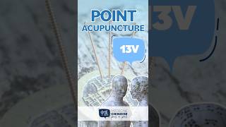 POINT D’ACUPUNCTURE  13V  Fei Shu acupuncture acupuncturepoints medecinechinoise [upl. by Atiker]