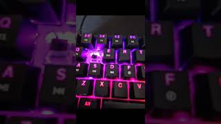 new keyboard gk61black switches [upl. by Nitfa832]