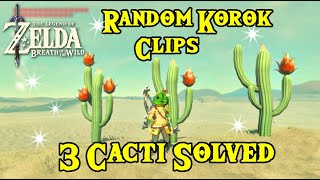 Korok Seeds Random Clips Three Cactus Korok Seed Solved Breath of The Wild [upl. by Dione591]