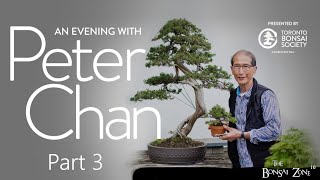 An Evening with Peter Chan Part 3 The Bonsai Zone July 2023 [upl. by Emelita25]