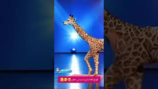 rap magic hiphop shorts human 🚶‍♀️transform into Giraffe🦒 Americas got talent giraffe 🦒🦒🦒 [upl. by Asial]