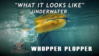 River2Sea Whopper Plopper  What it Looks Like Underwater [upl. by Eahsram178]