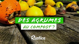 Faut il mettre les AGRUMES au COMPOST [upl. by Nylirrej]