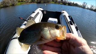 Pre spawn lipless crankbait fishing [upl. by Joub]