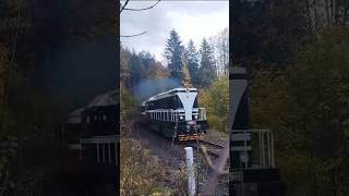 Hektor a 213604 train trainspotting czechia railway trainvideo railroad fyp [upl. by Oys785]